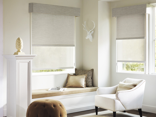 Designer Screen Shades