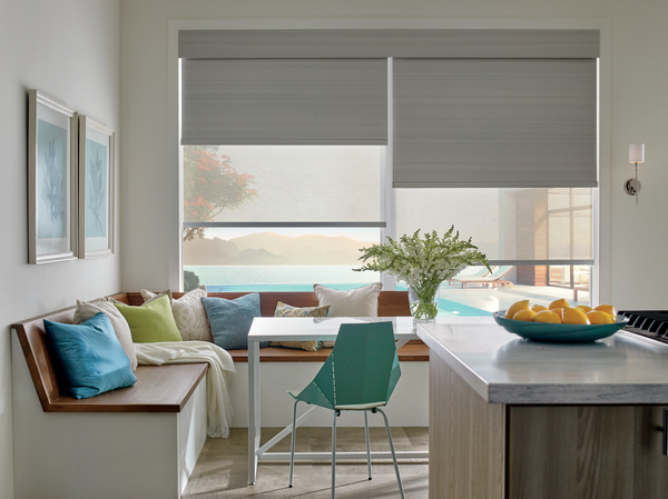 Hunter Douglas Designer Screen Shades